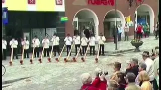 Academie Suisse de Cor des Alpes