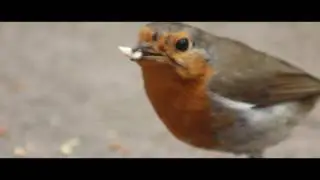 Creative nature