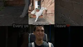 Dog Sad Moment 💔 (Goodbye) #dog #sad #emotional #shorts