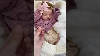 How To Fly With Reborn Baby Dolls On Airplane