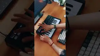 Gigi D'Agostino -  L&rsquo;Amour Toujours (Live Loop Cover) | Minilab 3