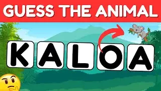 Guess the animal by its scrambled name | easy - medium - hard