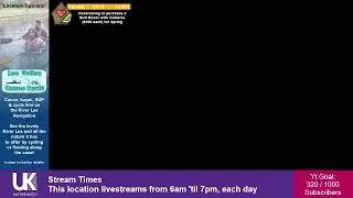 🔴 LIVE: Bird Feeder Buffet 🐦 Broxbourne Riverside Chalets | UK NatureWatch