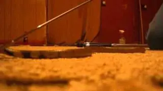 Это моя коралловая кобра (Aspidelaps lubricus cowlesi).
