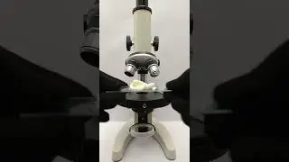 Shaving Gel under microscope|   #microscope #microscopeexploration