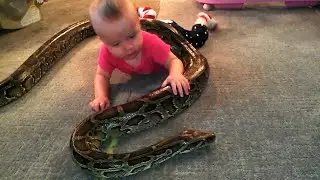 Unbelievable Pets Kids Actually Own