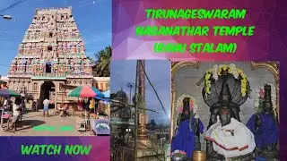 Tirunageswaram Naganathar Temple(Raghu Stalam) #navagraha #raghustalam #positivevibes #temple