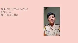 the economic off shipping NI MADE DIVYA SANITA (20.43.018)