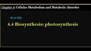 General Biology, Biosynthesis; Photosynthesis