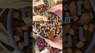 It&rsquo;s worth the wait ✨ #dogfood #petfood #dogmom #dogsitting #happydogs #healthydogs #dognutrition