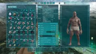 Ark detonado