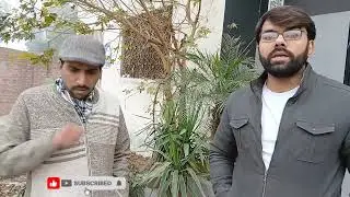 Punjab Govt Bans land transfers based on oral transactions| Video #20