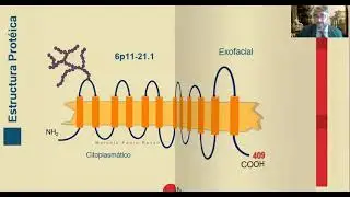 Tipificaci&oacute;n Rh | Marcelo Pedro Russo