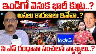 IndiGo Flight Status LIVE Updates | C S Randhawa Comments On Indigo | CEO Pieter Elbers News