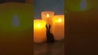 Guided meditation - Rabbit Spirit Animal