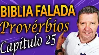 PROV&Eacute;RBIOS 25 S&iacute;miles e Li&ccedil;&otilde;es Morais