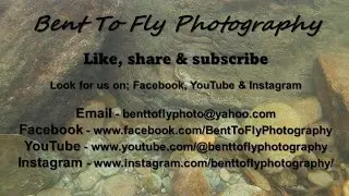 Welcome to Bent To Fly Photography