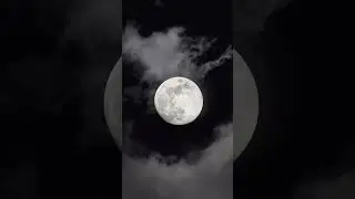 Still Moon, Endless Calm
