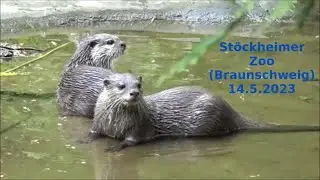 Stöckheimer Zoo (Braunschweig) 14.5.2023
