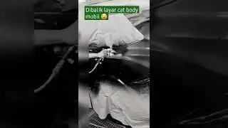 Cat body mobil#shorts #otomotive