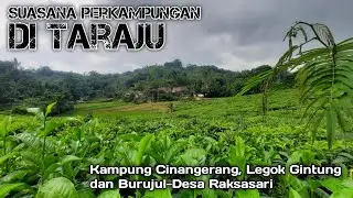 Suasana Perkampungan Taraju yang Sejuk || Desa Raksasari Tarju Tasikmalaya