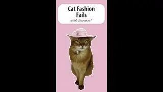 Summer Models Some of Her Cat Fashion Fails #shorts