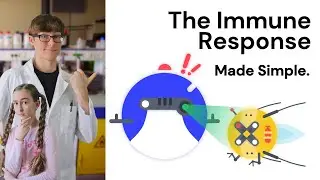 Breakthrough Junior Challenge 2020 | The Immune Response, Made Simple.
