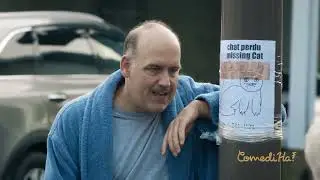HAVE YOU SEEN THE MISSING CAT? // LOL ComediHa!