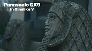 Panasonic GX9 in Cinelike V
