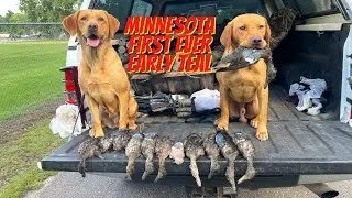 2021 Minnesota Early Teal Season | Early Goose Season | Teal Honey Hole