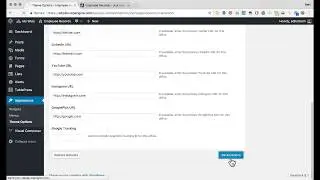 Website Tutorial: Updating Theme Options