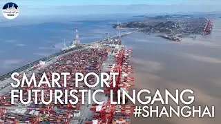 3 years on, Shanghai Lingang strives to become hotspot for investment, trade and logistics #临港新片区