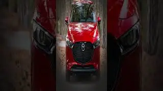 Orchid Price Prediction 2023, 2025, 2030  What will OXT be worth