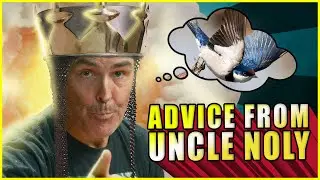 What is the Airspeed of an Unladen Swallow? | ADVICE FROM UNCLE NOLY