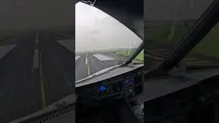 KOLKATA AIRPORT LANDING | LANDING ON A HAZY DAY WITH AIRBUS A320neo  #aviation #cockpit #airbus