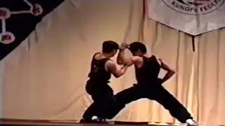 Shaolin Hung Fut Kung Fu Tiger vs Leopard - Two Man Set