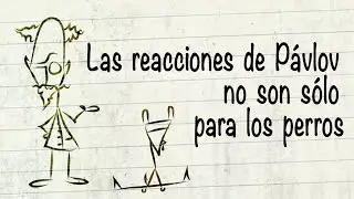 Las reacciones de Pávlov no son sólo para los perros - Benjamin N. Witts