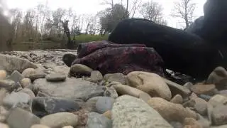 Staverton Adventure