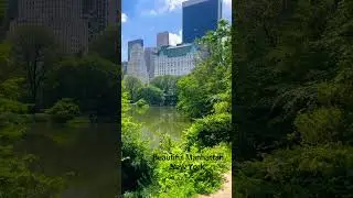 #nature #manhattan #travel #centralpark #nyc