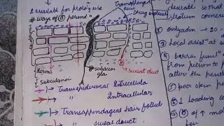Unit 03)TDDS -TRANSDERMAL DRUG DELIVERY SYSTEM | Adv and disadv.| Factor affecting #skin 