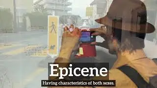 How to Say Epicene in English? | What is Epicene? | How Does Epicene Look?