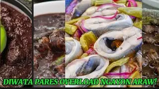 DIWATA PARES OVERLOAD NGAYON ARAW UPDATE TODAY SA MGA BAGONG ULAM 