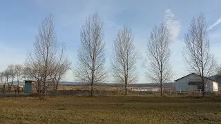 November 8 2025 vlog #oregon #autumn #silverlake #weather 