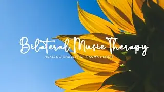 1-Hour Bilateral Stimulation Music Therapy for Stress, Anxiety & PSTD | EMDR Healing Bilateral Music