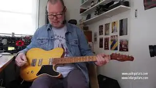 Palir Guitars Titan C4 