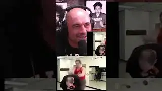#joerogan likes watching fake martial arts