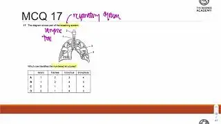 2019 GCE O Level Biology MCQ Solution 17