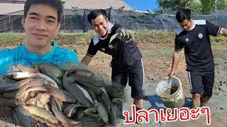 ไม่คิดว่าปลา ในหนองบ่าวเอื้อจะยังเยอะ