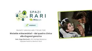 Webinar 