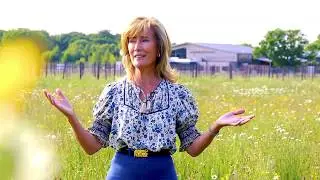Owner Update | WILD FLOWER MEADOWS | Hush Heath Estate